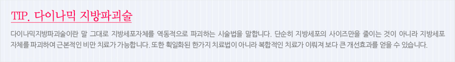 지방파괴술